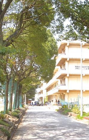 Shibayama junior high school of an 8-minute walk, "Thinking, Tuition to foster power "to express ・ Enhance students guidance. Extracurricular activities also a thriving