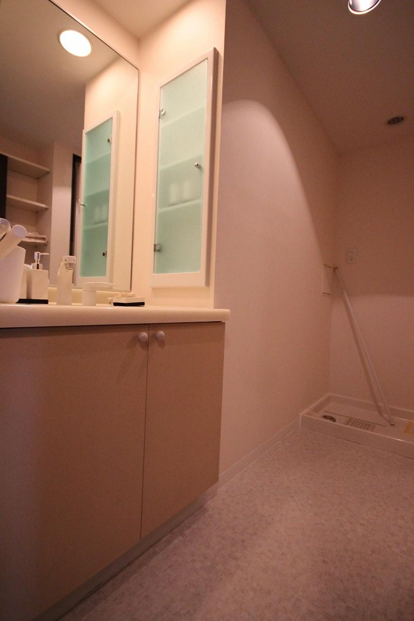 Wash basin, toilet. Amount of storage is abundant around water