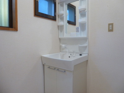 Washroom. Shampoo dresser