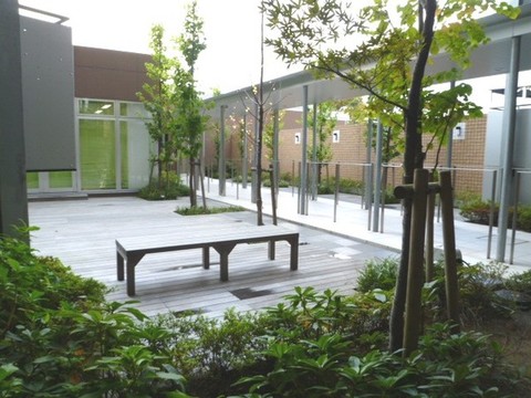 Other common areas. courtyard