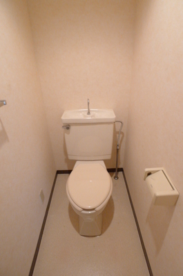 Toilet. Toilet