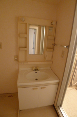 Washroom. Bathroom vanity