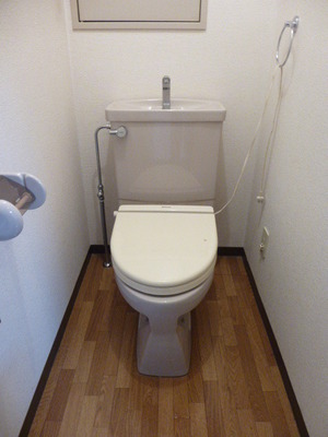 Toilet. Toilet of a certain and glad towel with hook