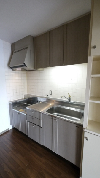 Kitchen. Is it can firmly two-burner stove can be installed a cuisine