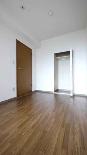 Other room space. There is a Western-style in a closet