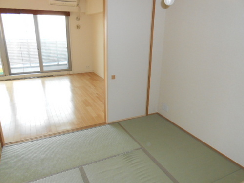 Other room space. Japanese-style room (interior ago)