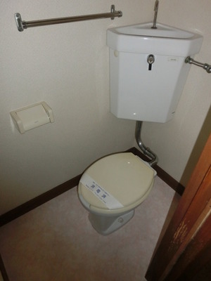 Toilet. Toilet