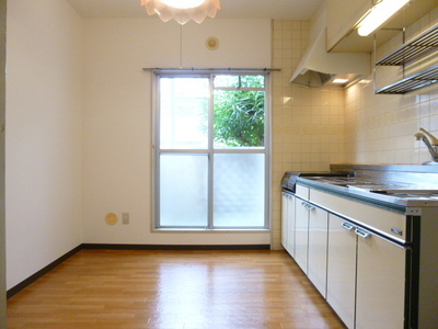 Kitchen. Spacious not troubled in the kitchen layout