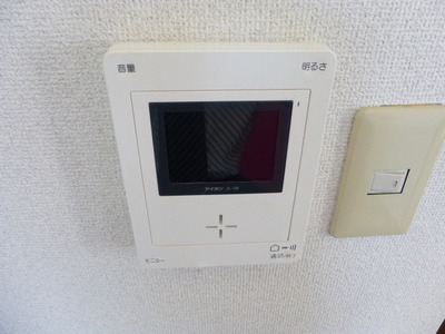 Security. Monitor with intercom