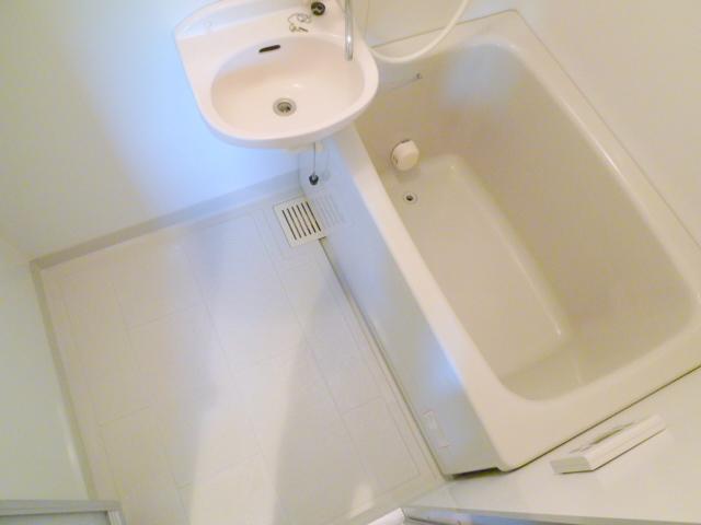 Bath. Toilet is located in a separate room.