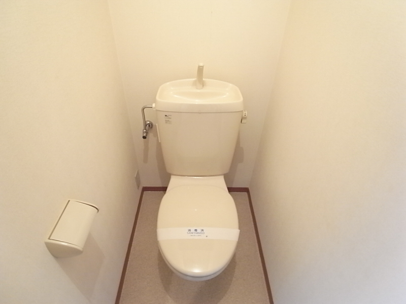 Toilet. Toilet of simple yet baptism design