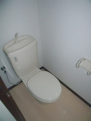 Toilet. Western-style toilet