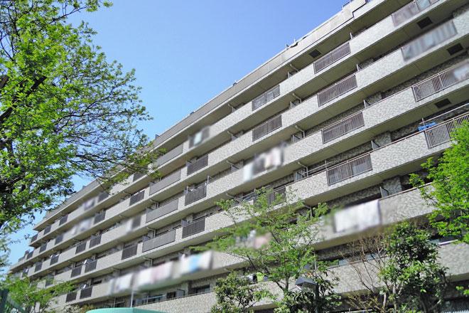 Local appearance photo. local