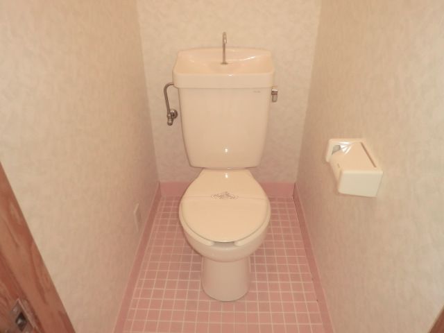 Toilet. Toilet