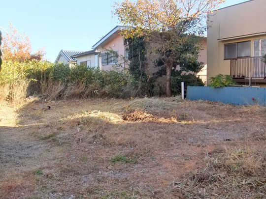 Local land photo