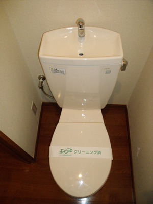 Toilet. Toilet