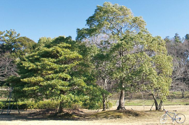 park. Nagatsugawa green space ・ Nagatsugawa 740m to water park