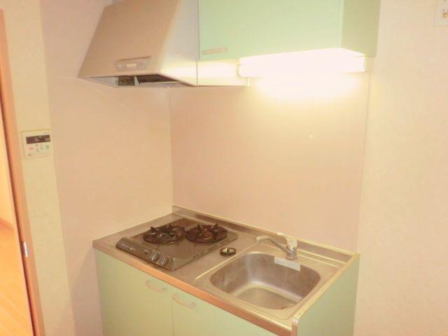 Kitchen. Two-burner gas stove Installed