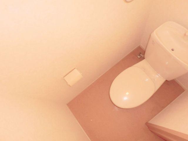 Toilet. Toilet is also beautiful to cleaning being completed