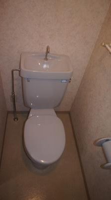 Toilet. Other 4