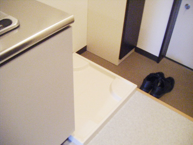 Other room space. There is indoor washing machine Storage.