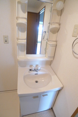 Washroom. Bathroom vanity