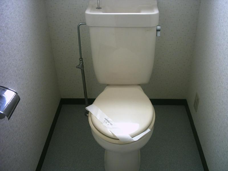 Toilet. It is a toilet with a clean.