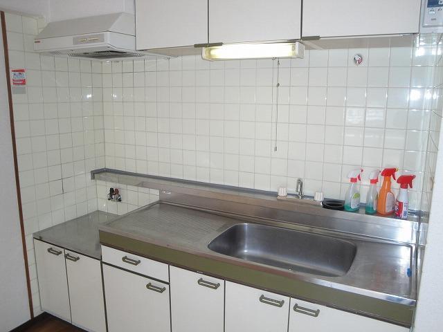 Kitchen. Two-burner stove is the spread of the kitchen