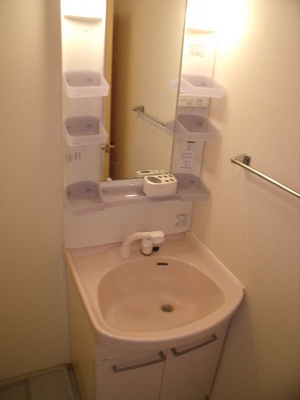 Washroom. Shampoo dresser equipped