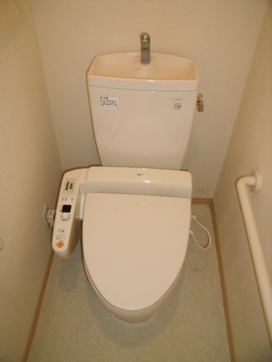 Toilet. It is cleaning toilet seat