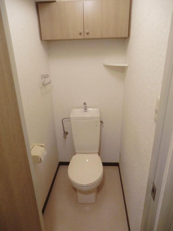 Toilet. It is a beautiful toilet