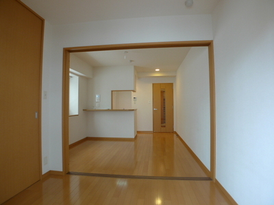 Living and room. Room 2 (Western-style)