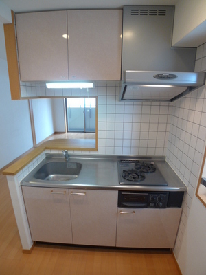 Kitchen. System Kitchen (2 lot gas stoves)