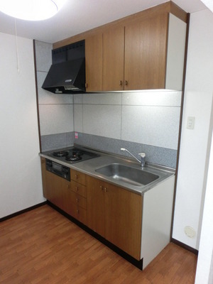 Kitchen. System kitchen