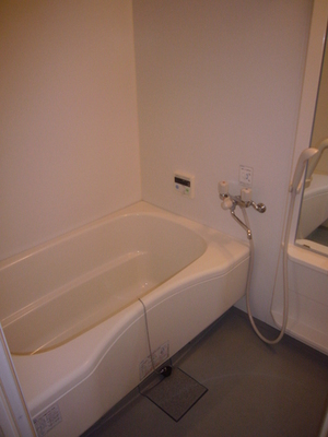 Bath. Equipped with bathroom dryer