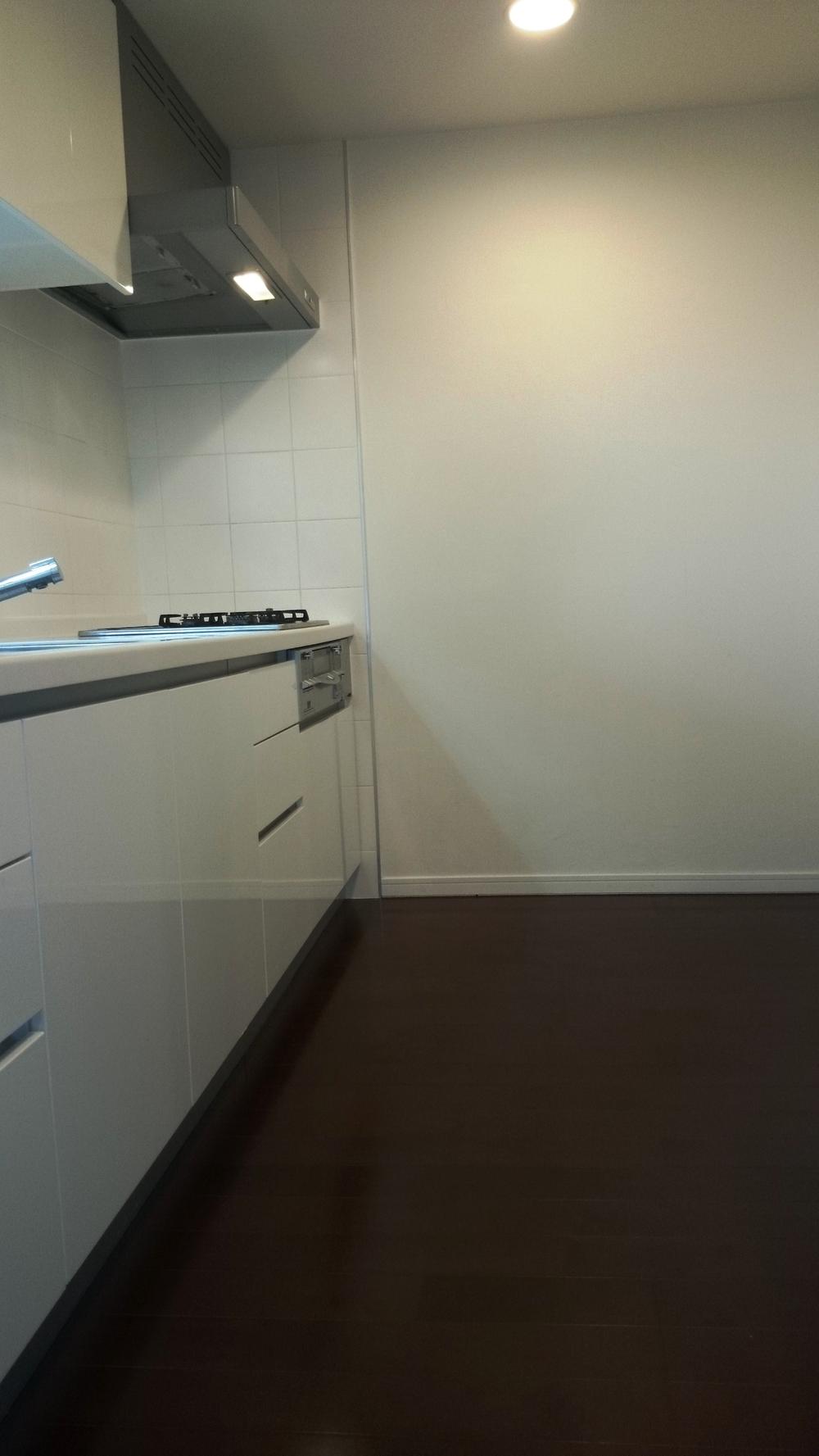 Kitchen. Indoor (11 May 2013) Shooting