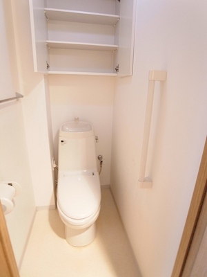 Toilet. Paper and detergents and toilet with a convenient shelf can be stored