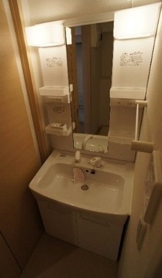 Washroom. Shampoo dresser