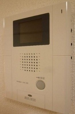 Security. Monitor with intercom