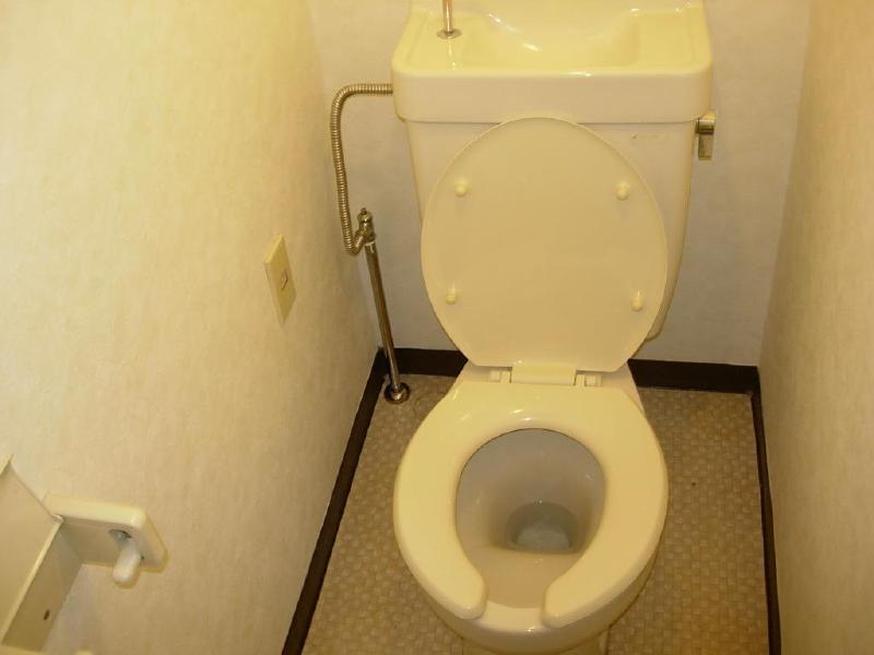 Toilet. It is a toilet with a clean.