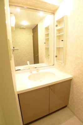 Washroom. Bathroom vanity