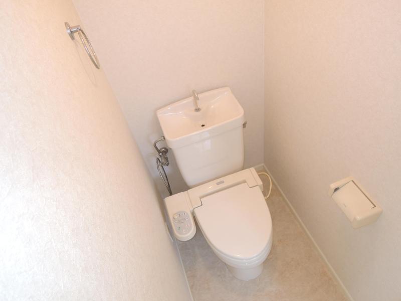 Toilet. Bidet with toilet