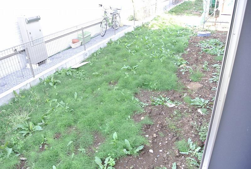 Garden. Local (11 May 2013) Shooting