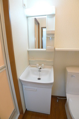 Washroom. Bathroom vanity