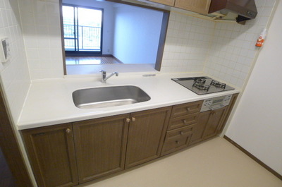 Kitchen. Counter kitchen (gas three-necked)