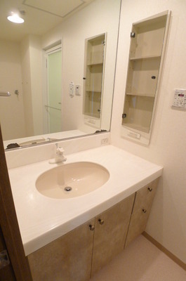 Washroom. Bathroom vanity