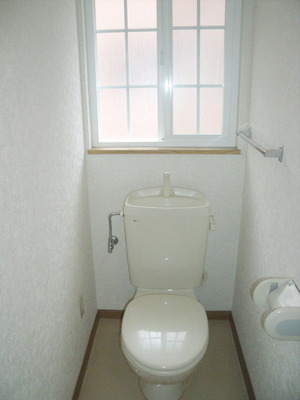 Toilet. Western-style toilet