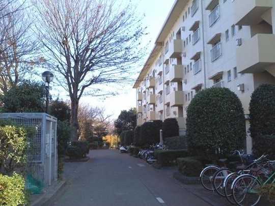 Local appearance photo