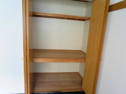 Other. Closet so storage capacity ◎