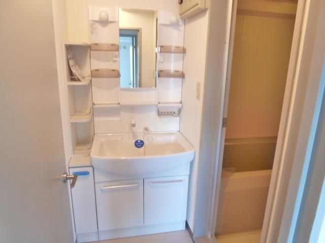 Washroom. New shampoo dresser